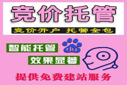 百度推广运营实战：中小企业如何突围
