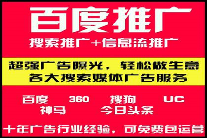 百度优化推广案例剖析：某电商平台的成功之路